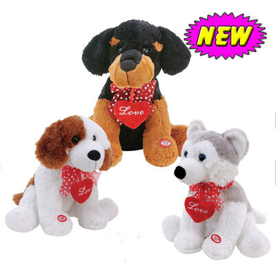 De leuke Teddybeer van de Valentijnskaartendag met Bloemhart vulde Duwspeelgoed