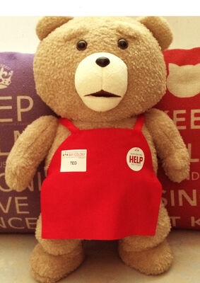 Mooi Ted draagt het Speelgoed van de Babypluche de Roodbruine Polyester OEM ODM goedkeurt