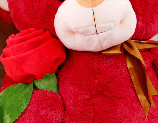 De leuke Reuze Rode Teddybeer vulde Dierlijk Speelgoed met Roze Bloemjumbo 80cm