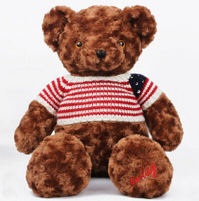 De donkere Bruine Teddybeer Gepersonaliseerde Functie van de de Klantenoptie van het Pluchespeelgoed