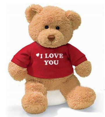 Gepersonaliseerd Pluchespeelgoed Drie Bruine Familieteddybeer met T-shirt