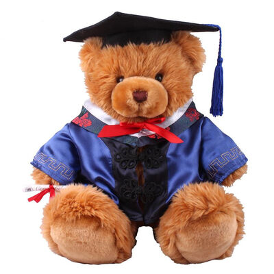 18 duim de Teddybeer van de Artsengraduatie vulde Zacht Pluchespeelgoed voor Inzamelingsviering