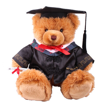 18 duim de Teddybeer van de Artsengraduatie vulde Zacht Pluchespeelgoed voor Inzamelingsviering