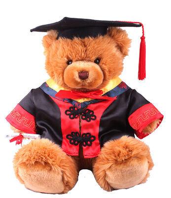 18 duim de Teddybeer van de Artsengraduatie vulde Zacht Pluchespeelgoed voor Inzamelingsviering