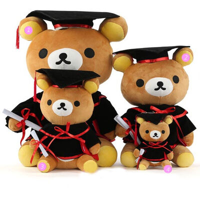De Plucheteddybeer van de artsengraduatie voor Graduatieviering 30cm