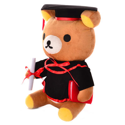 De Plucheteddybeer van de artsengraduatie voor Graduatieviering 30cm