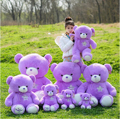 Grote Jumbolavendel Purpere Teddybeer 30cm 45cm 60cm 100cm 120cm