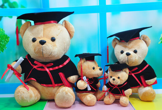 De Plucheteddybeer van de artsengraduatie voor Graduatieviering 30cm