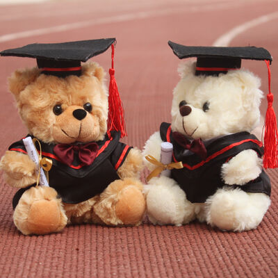 De Plucheteddybeer van de artsengraduatie voor Graduatieviering 30cm