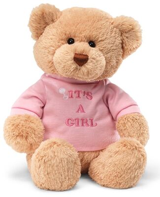 De manier en de Roze Teddybeer vulden Dierlijk Speelgoed vormen Zacht materiaal