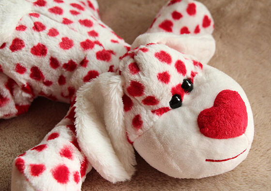 De mooie Valentijnskaartendag vulde Speelgoed/Dierlijk Hond Gevuld Duwspeelgoed voor Viering 35cm