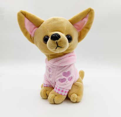 Cute dog - Chihuahua