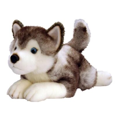 de Pluchespeelgoed Vriendschappelijke Eco van de 12 duim Zacht Wit Husky Gevuld Dierlijk Douane